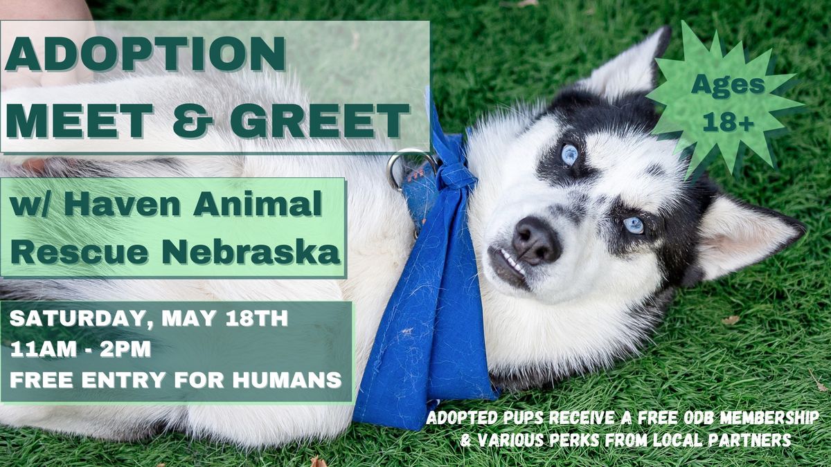 Adoption Meet & Greet w\/ Haven Animal Rescue Nebraska at Omaha Dog Bar
