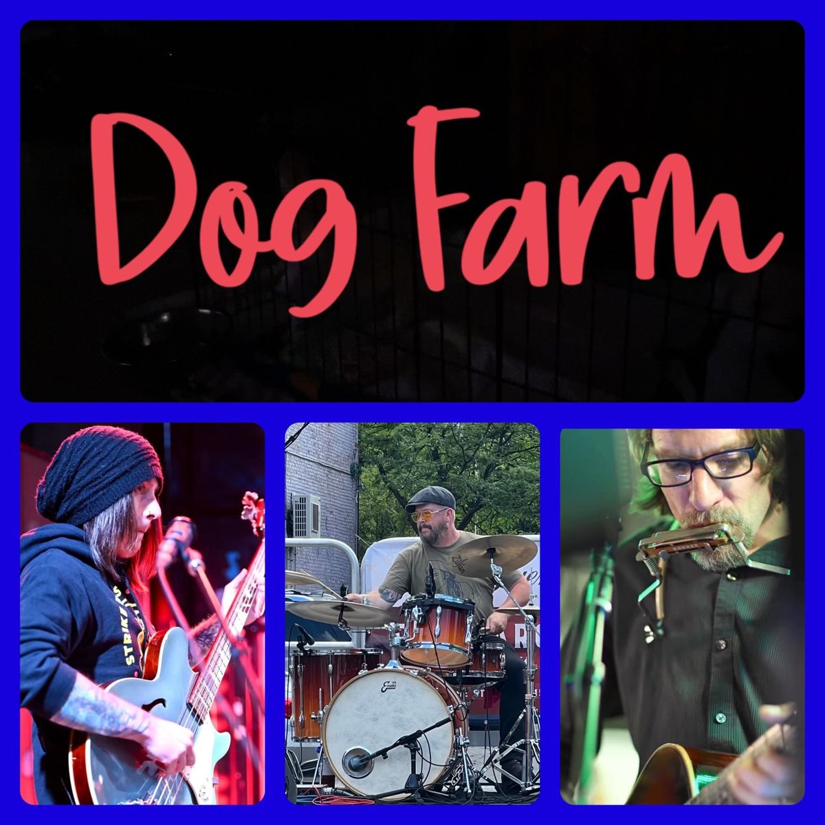 Dog Farm 