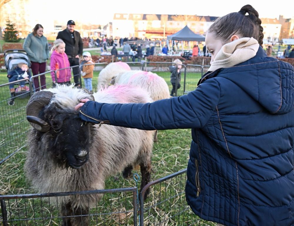 Kerst in het vrijheidspark 2024