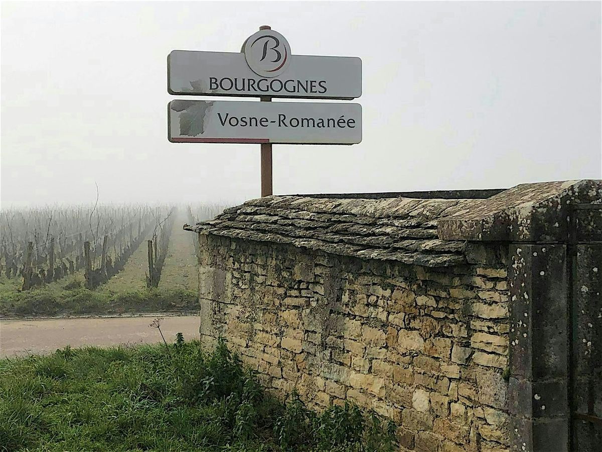 Exploring the Wines of Burgundy