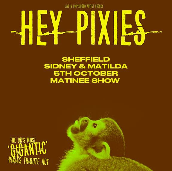Hey Pixies
