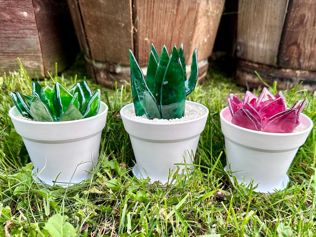 Fused Glass Succulents Workshop 