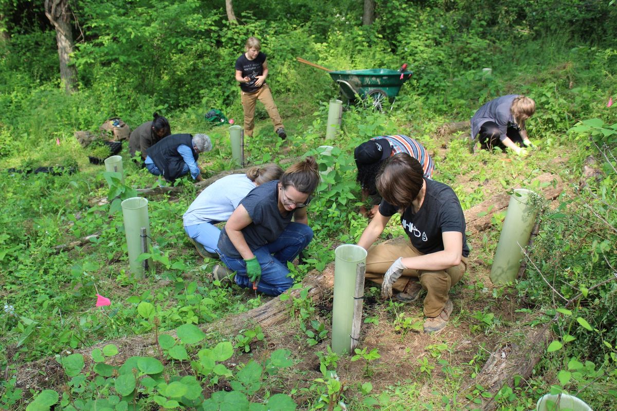 Ecological Restoration Certificate