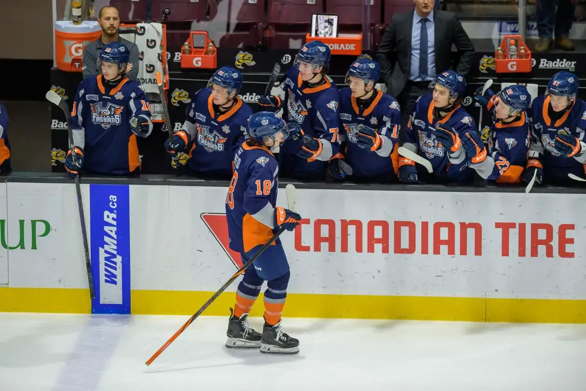 Flint Firebirds vs. Sarnia Sting