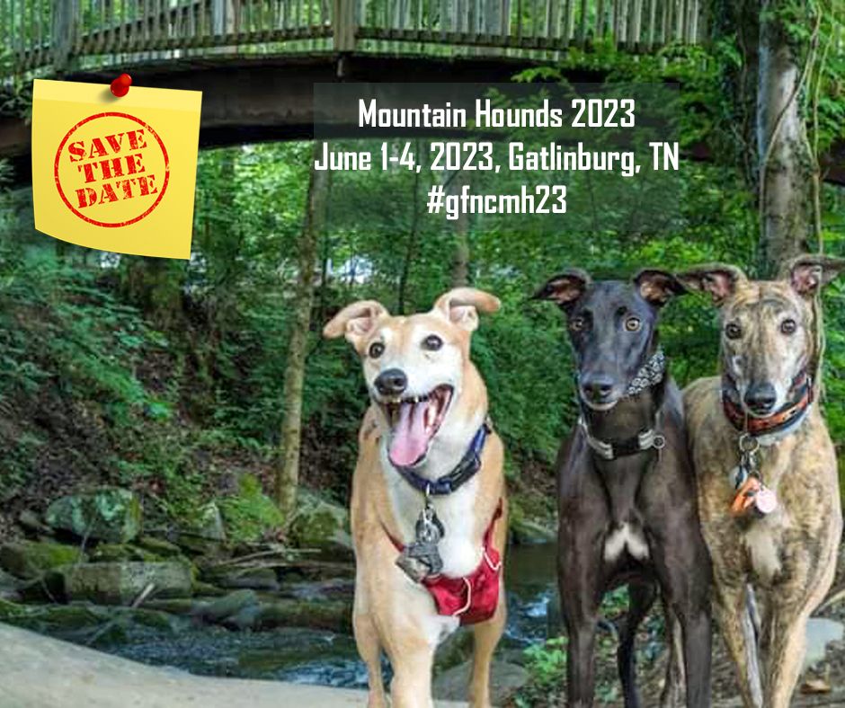 Mountain Hounds 2023, Gatlinburg, Tennessee, 1 June to 4 June