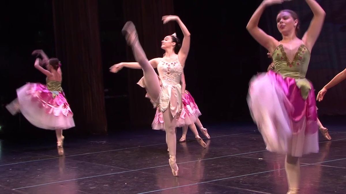 Miami Youth Ballet: The Nutcracker