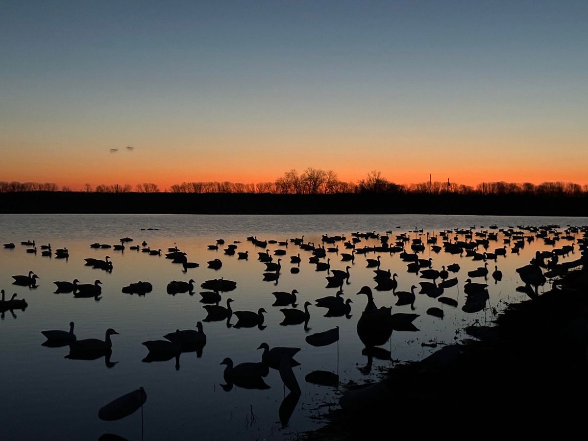 Opening Weekend of Duck Season!