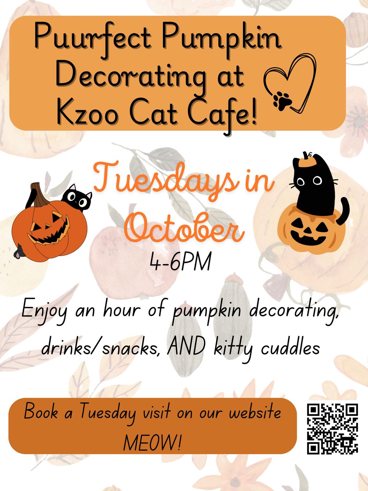 PURRfect Pumpkin Decorating at Kzoo Cat Cafe! 