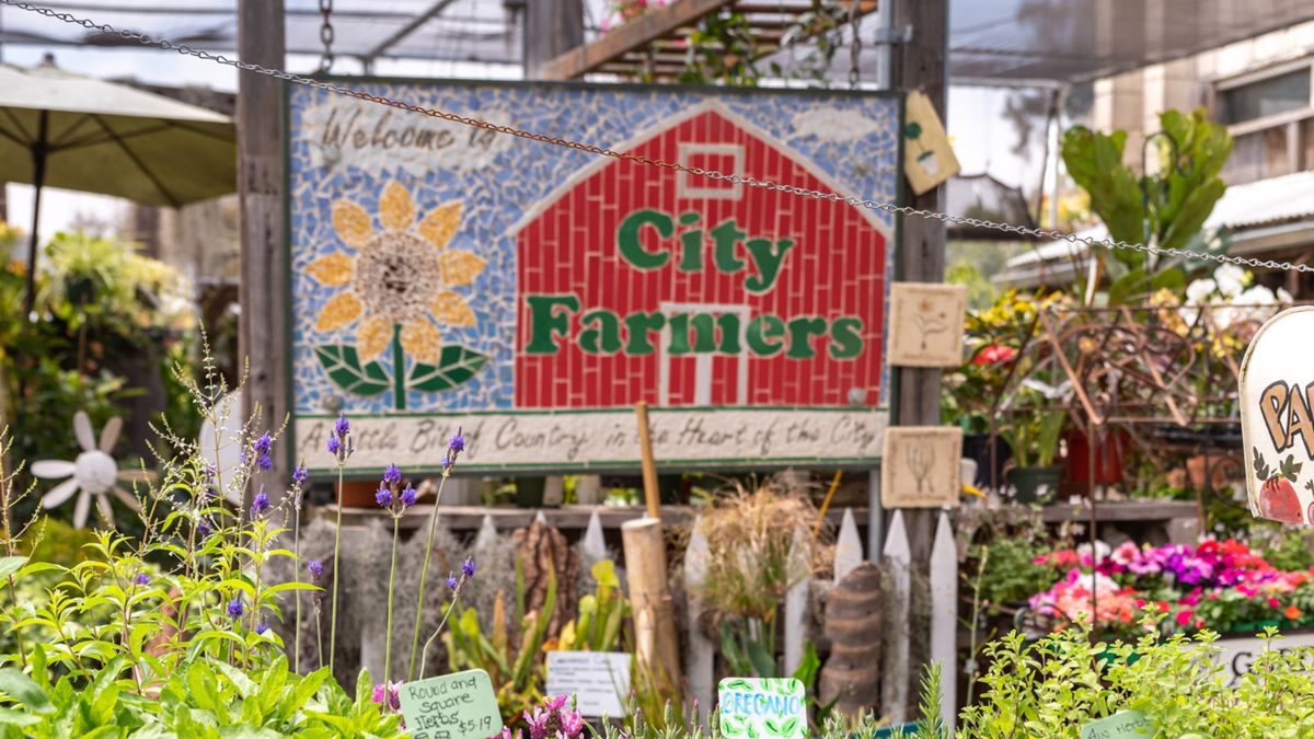 Edible San Diego's Fall Garden Party at City Farmers Nursery