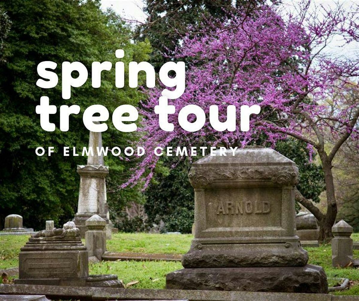 Spring Tree Tour