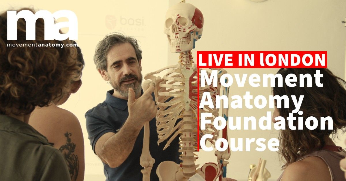 Movement Anatomy Course- Live in London