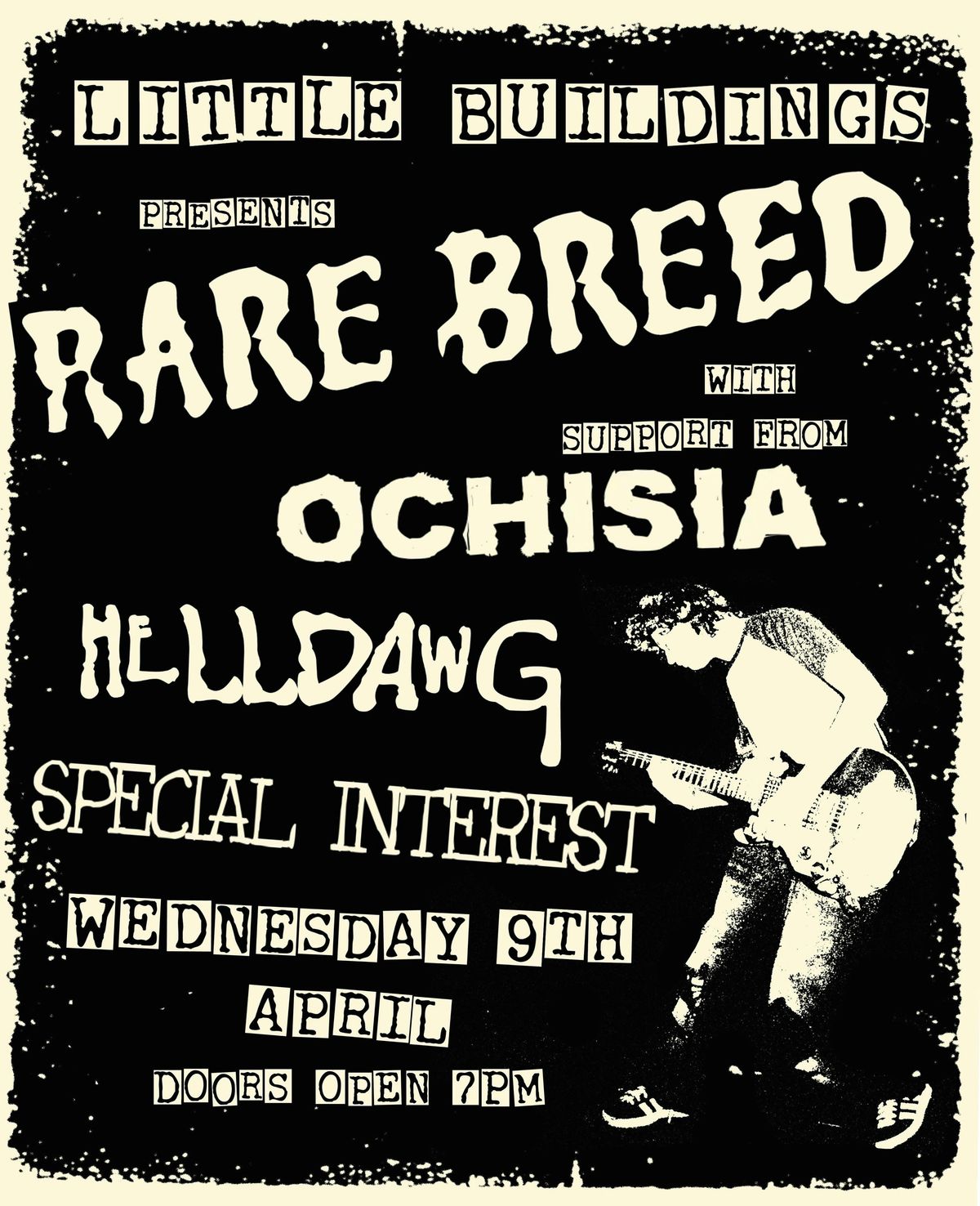 Rare Breed\/\/Ochisia\/\/Helldawg\/\/Special Interest