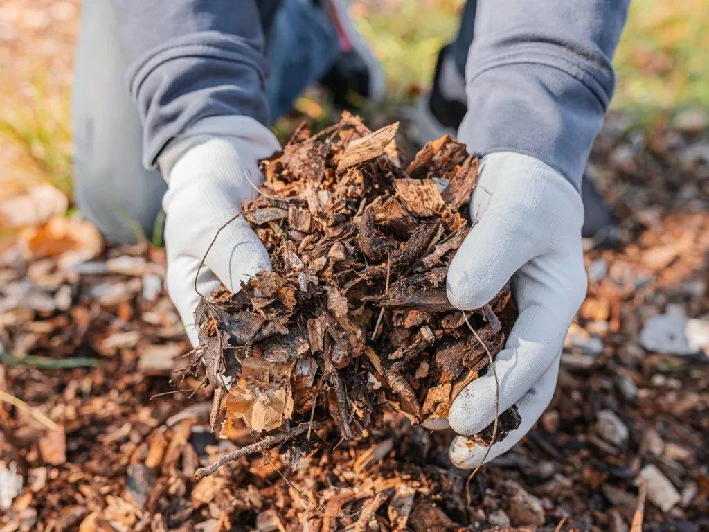 Composting and Mulching for Climate-Wise Gardening