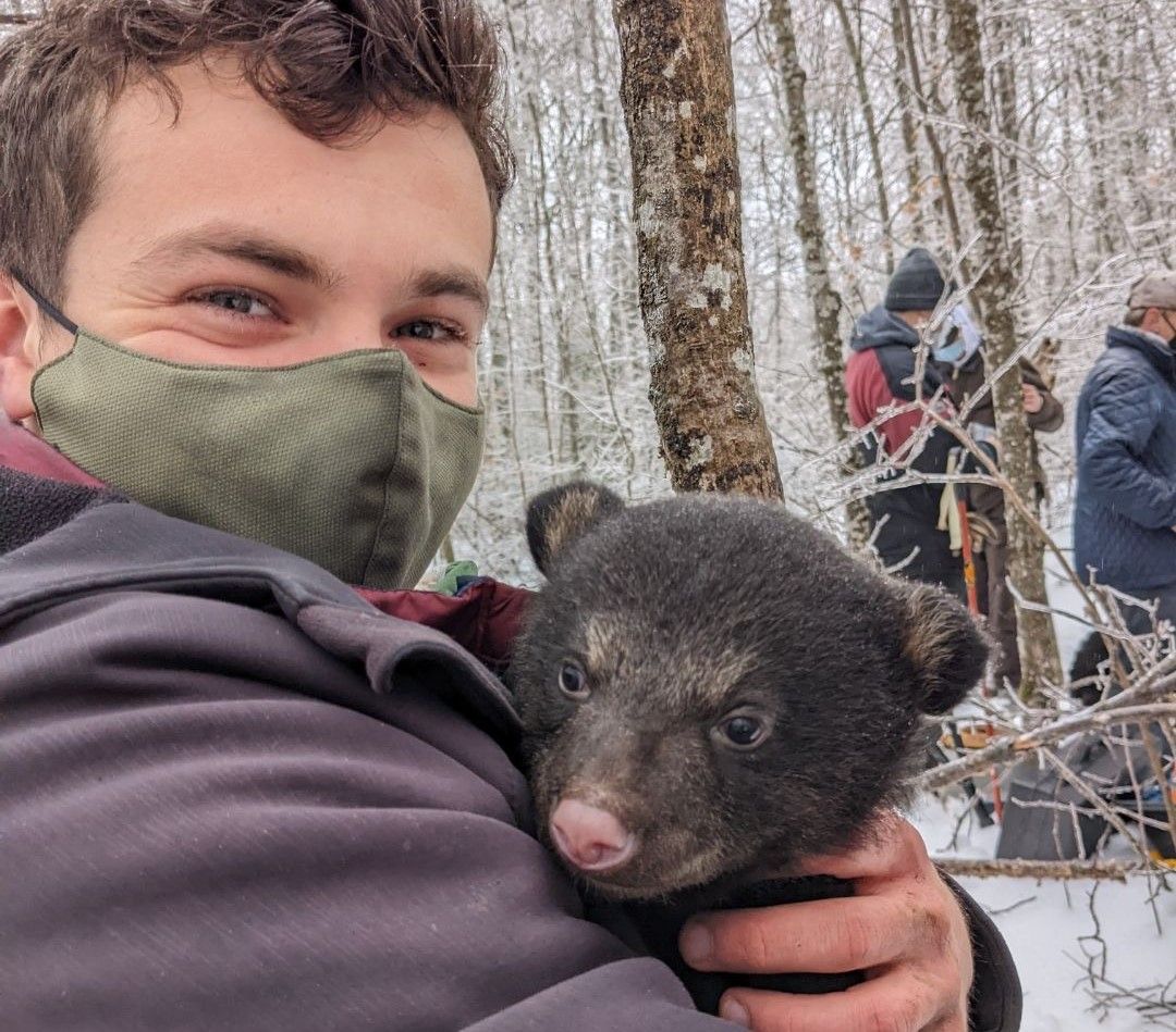 Wisconsin Black Bears  and How We Study Them