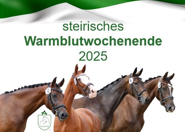 steirisches Warmblutwochenende