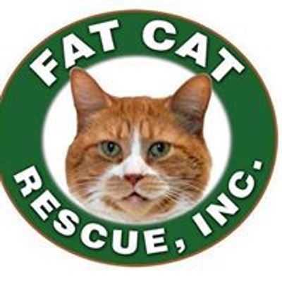 Fat Cat Rescue