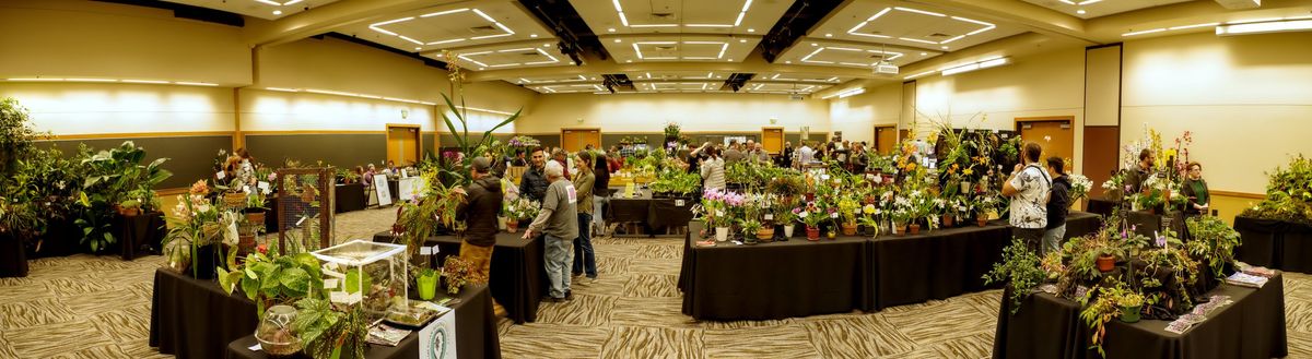 Indoor Fest.