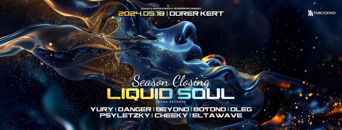 Season Closing II Liquid Soul (Iboga Records)