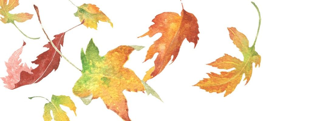 The Fruits and Leaves of Autumn in Watercolor Workshop (In-Person) with Linda Gist