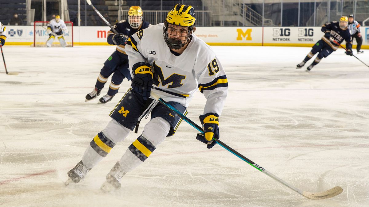 Quinnipiac Bobcats vs. American International Yellow Jackets