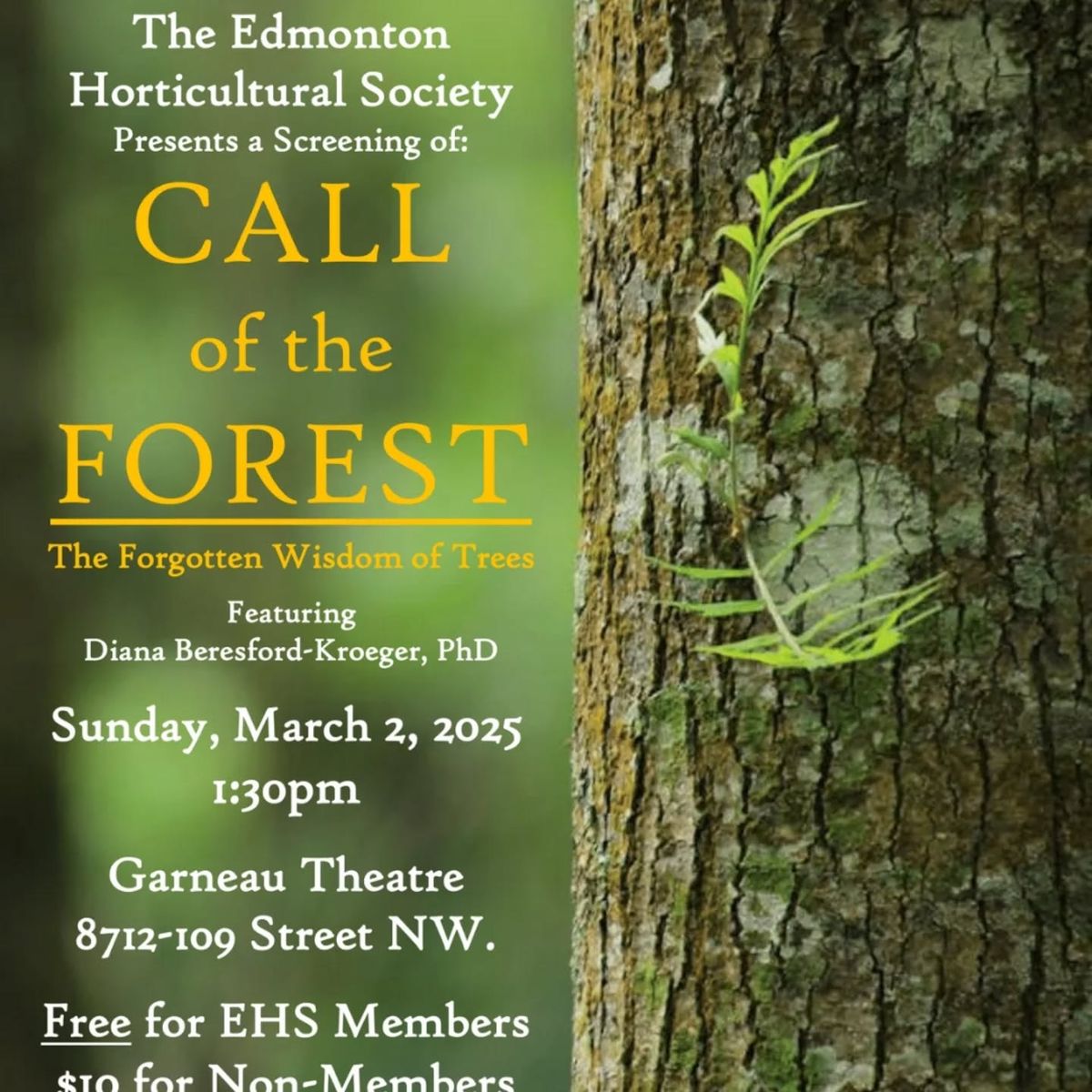 Exclusive Screening of 'Call of the Forest'