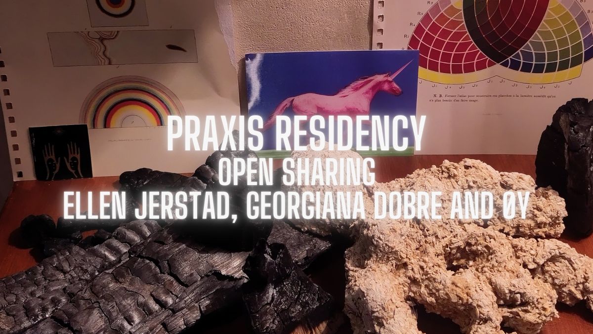 PRAXIS Residency Open Sharing: BIG DIG