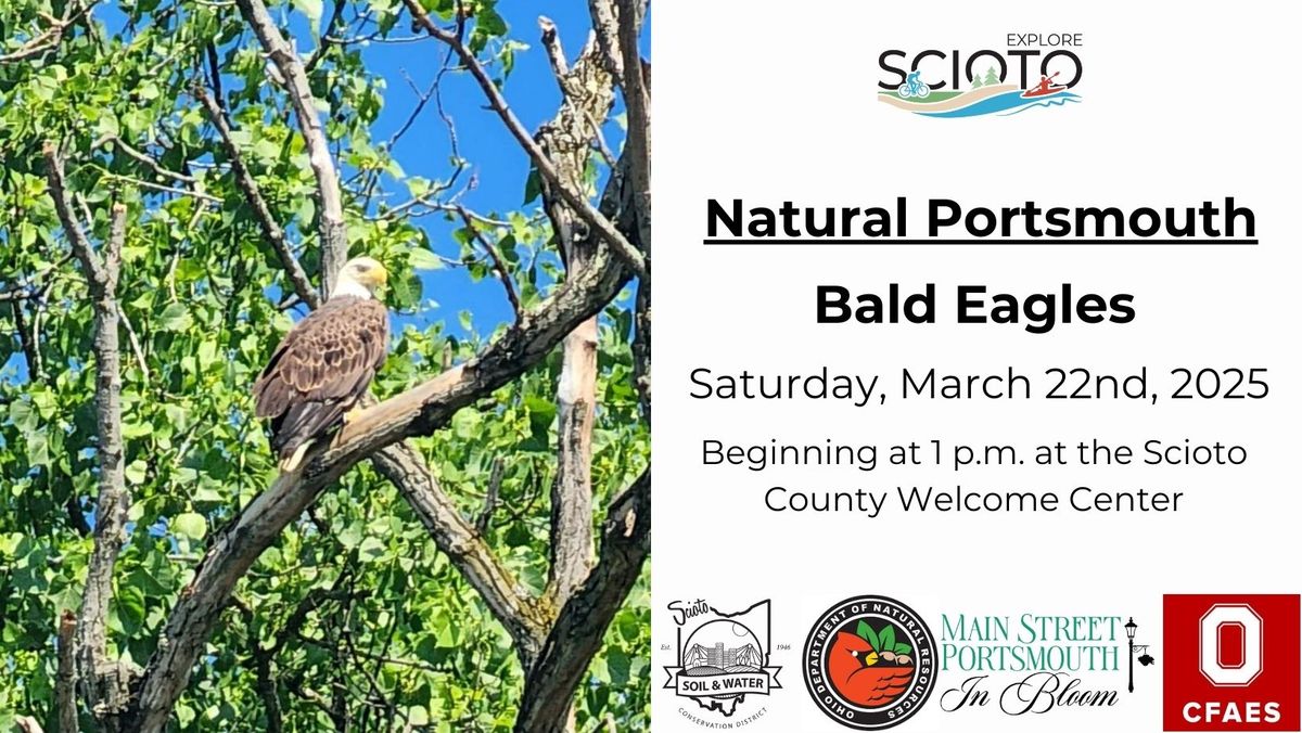 Natural Portsmouth Series: Bald Eagles