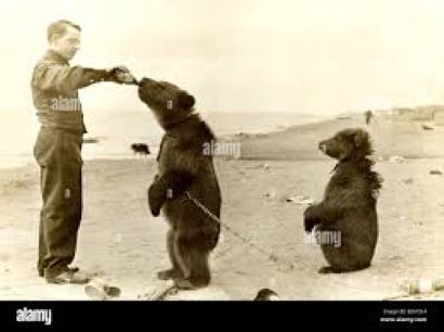 Steve Solo fightin' bears with beers at Bear Branch Tavern!