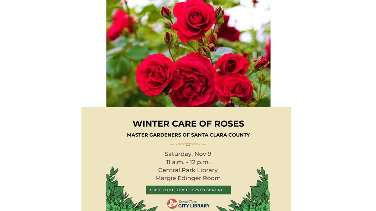 CENTRAL: Winter Care of Roses