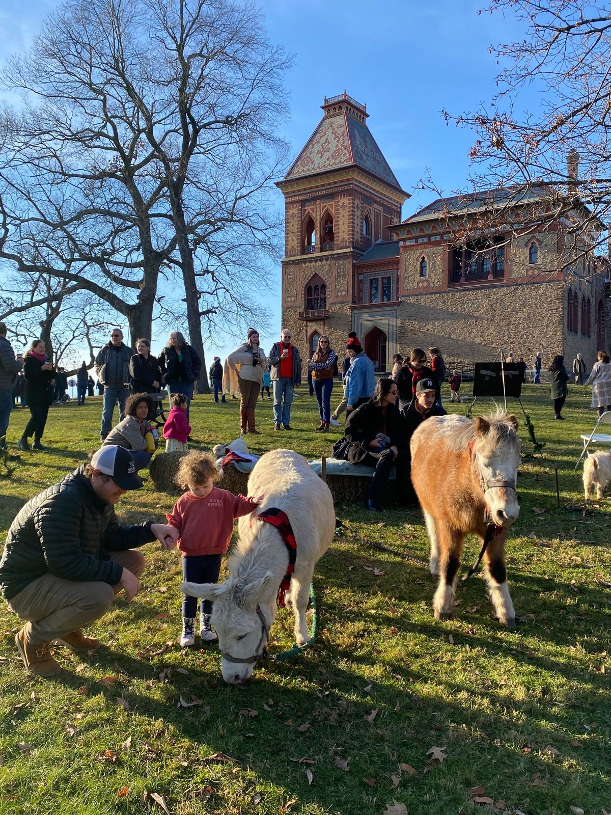 OLANA Winter Solstice Celebration