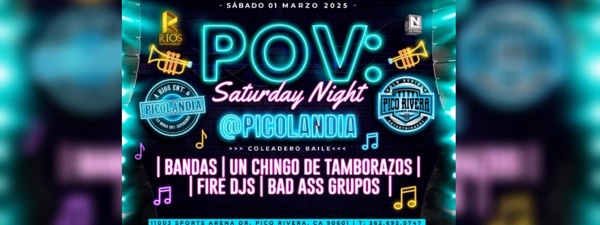 SATURDAY NIGHT PICOLANDIA 