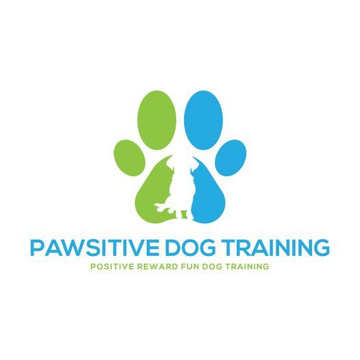 kennel club bronze award