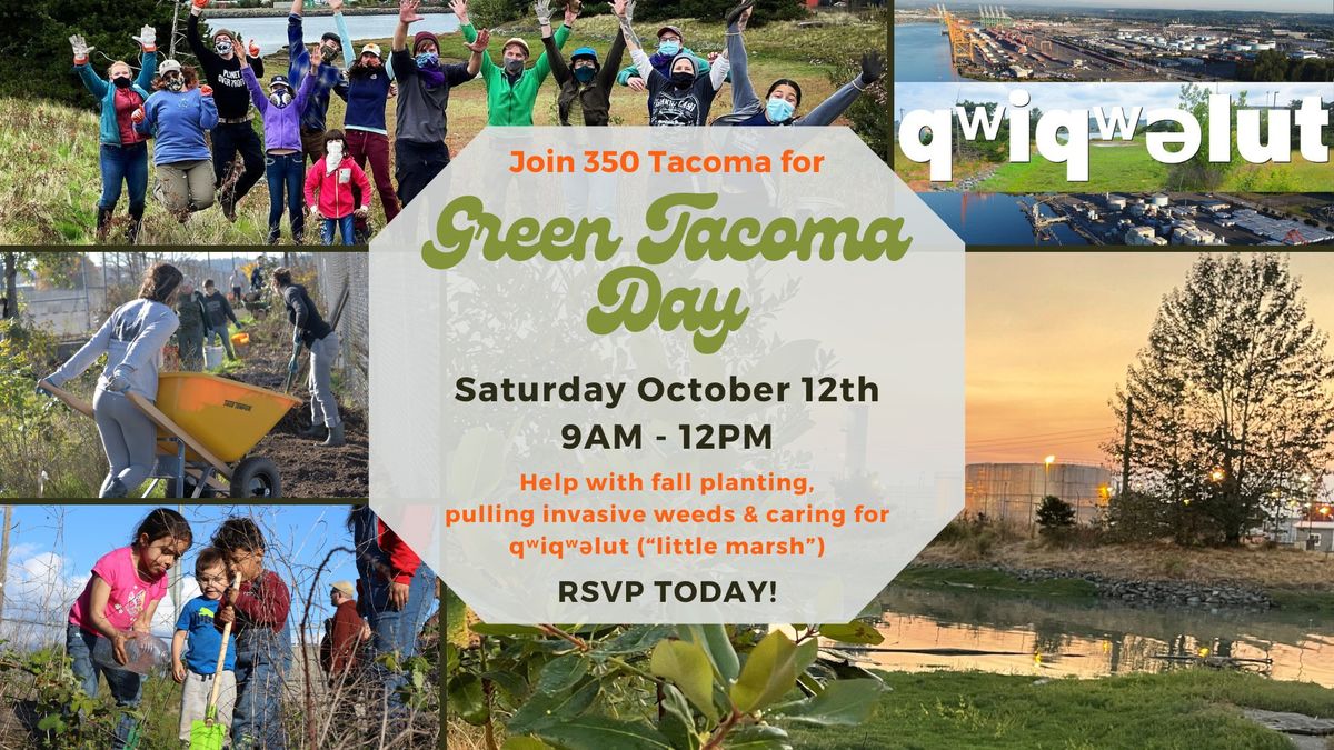 Green Tacoma Day at q\u02b7iq\u02b7\u0259lut (\u201clittle marsh\u201d)