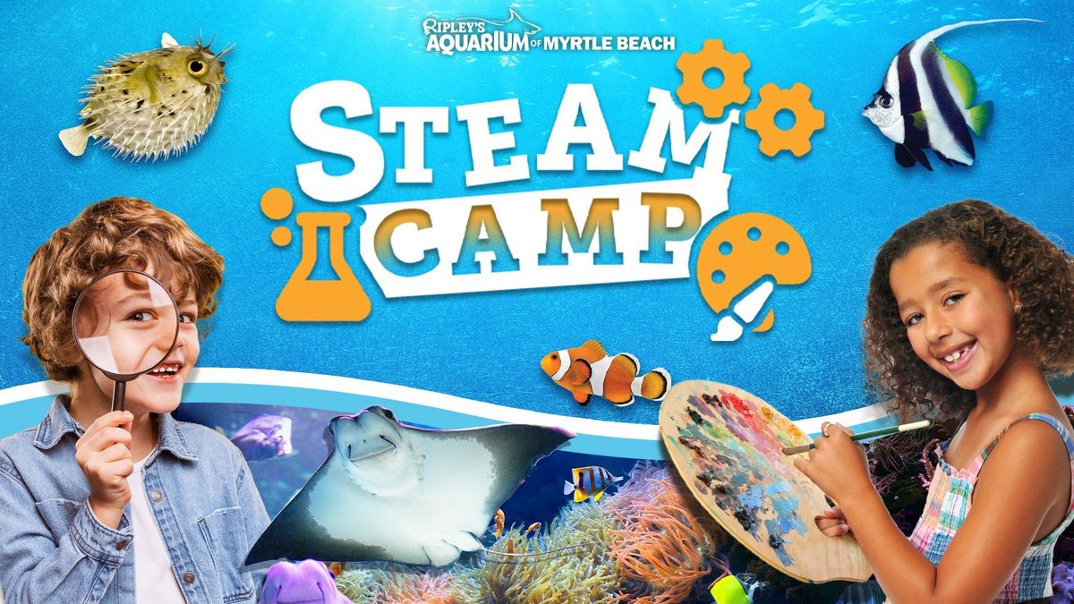 STEAM Camp at Ripley's Aquarium