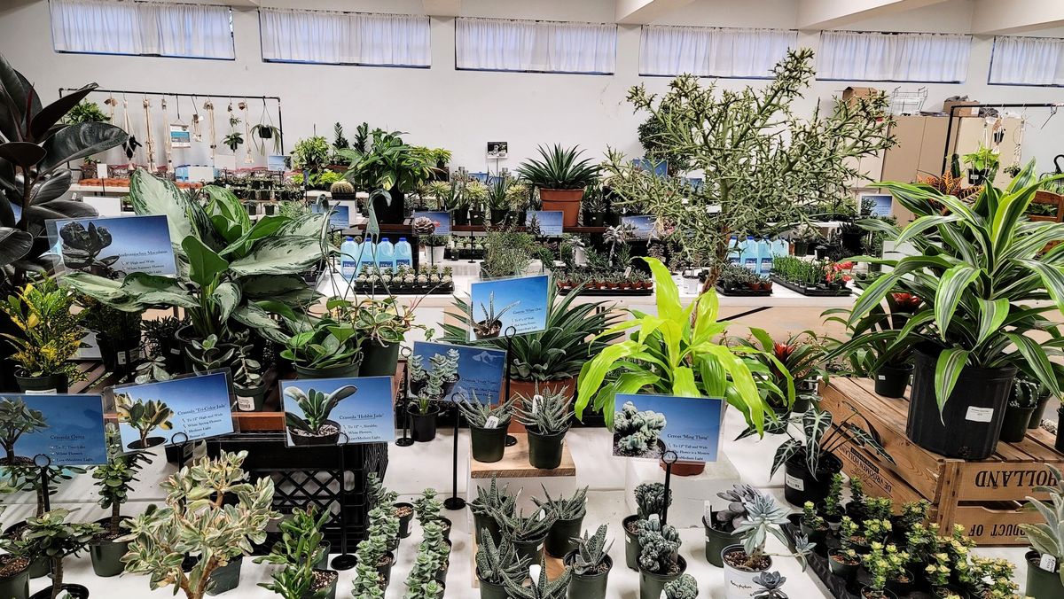 The Succulent and Tropical Plant Event at Flyleaf 