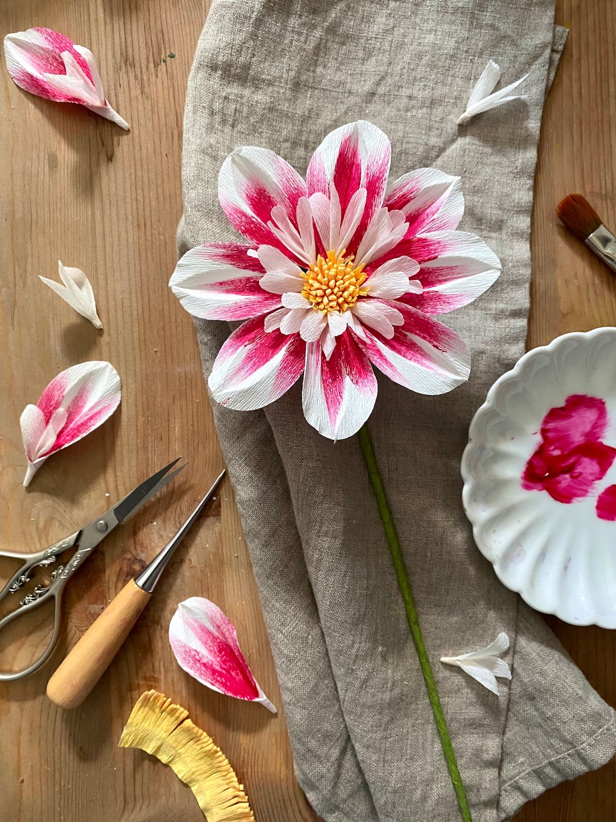 Collarette Dahlia Workshop