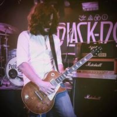 Alex Mulet - Guitarist