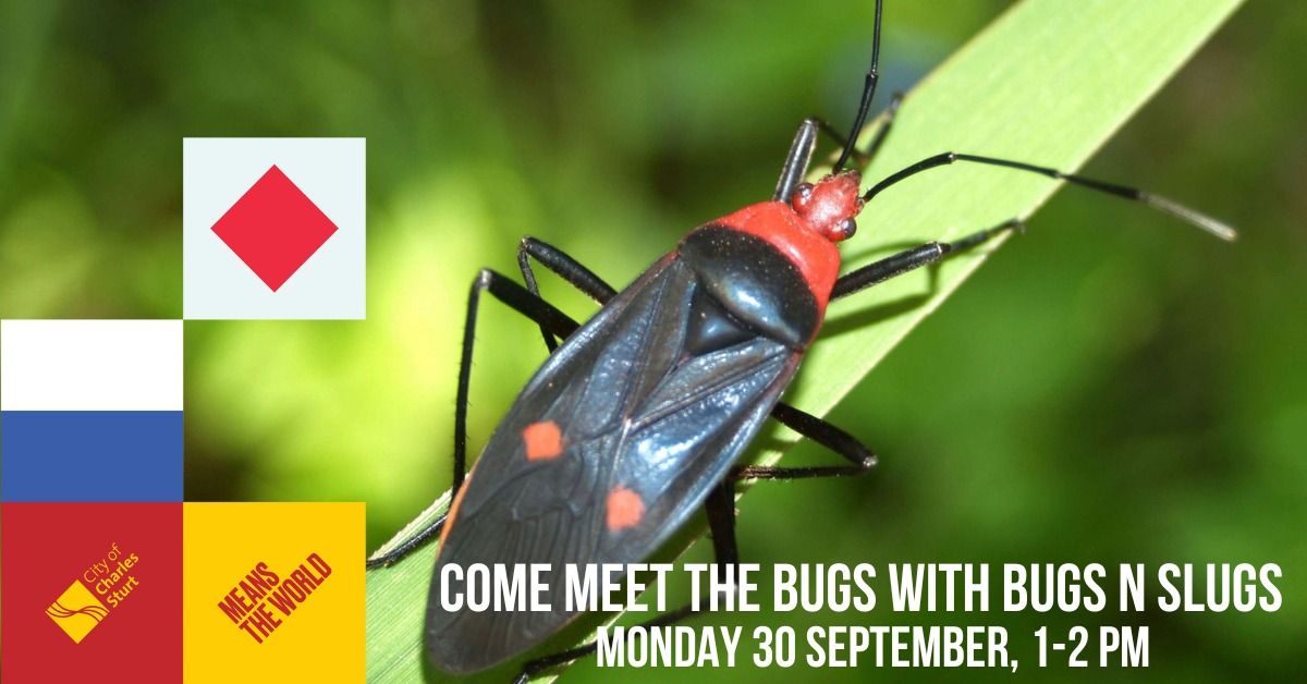 Come Meet the Bugs with Bugs n Slugs