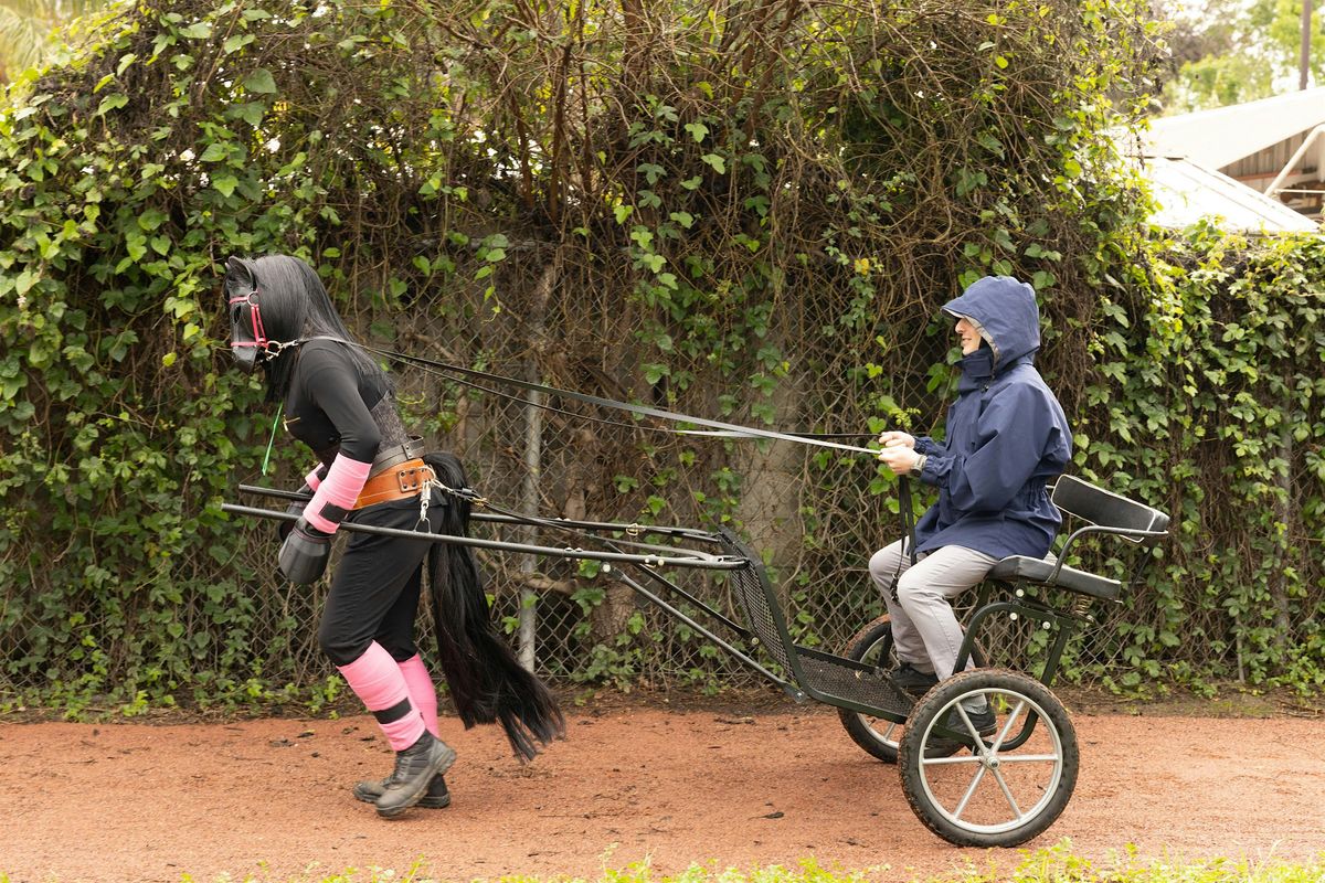 Romp and Trot, a Cart and Sled Pull Event