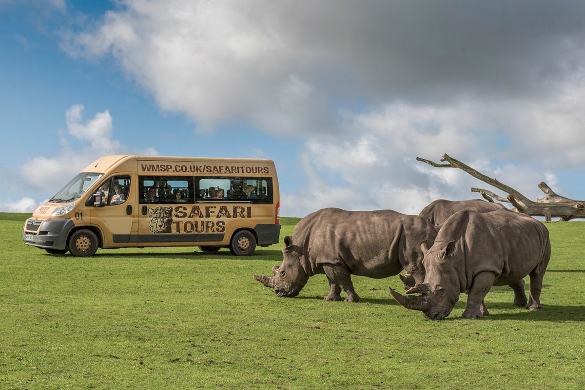 Day Trip to West Midlands Safari Park