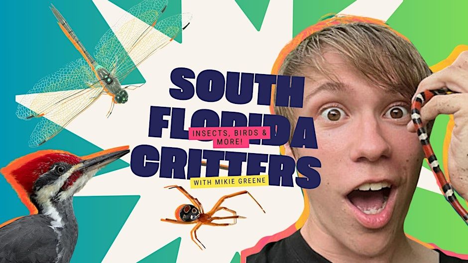 South Florida Critters Nature Tour: Insects, Birds, and More!