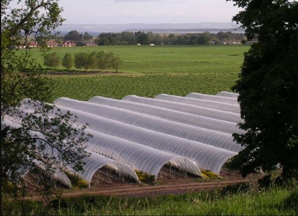 Build your own Poly Tunnel Workshop