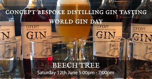 Concept Bespoke Distilling Gin Tasting World Gin Day Beech Tree Craft Beer Queenstown 12 June 21