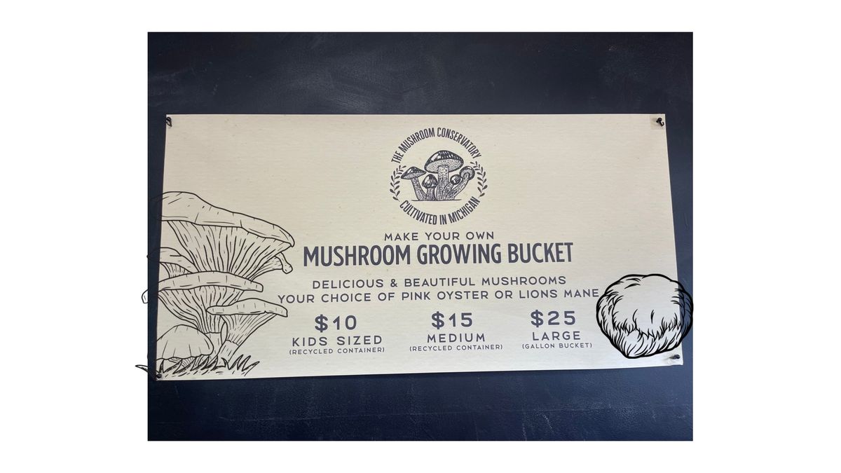 Build Your Own Mushroom Bucket Station at Quartz and Company