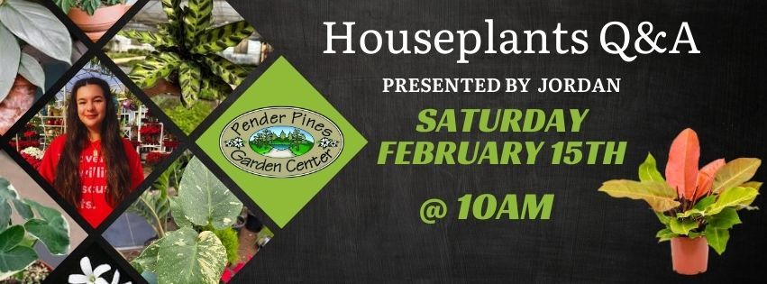 Pender Pines Houseplant Seminar