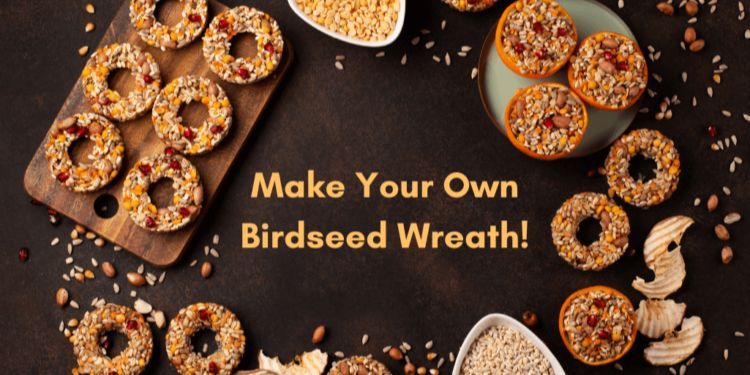 Make a Birdseed Wreath