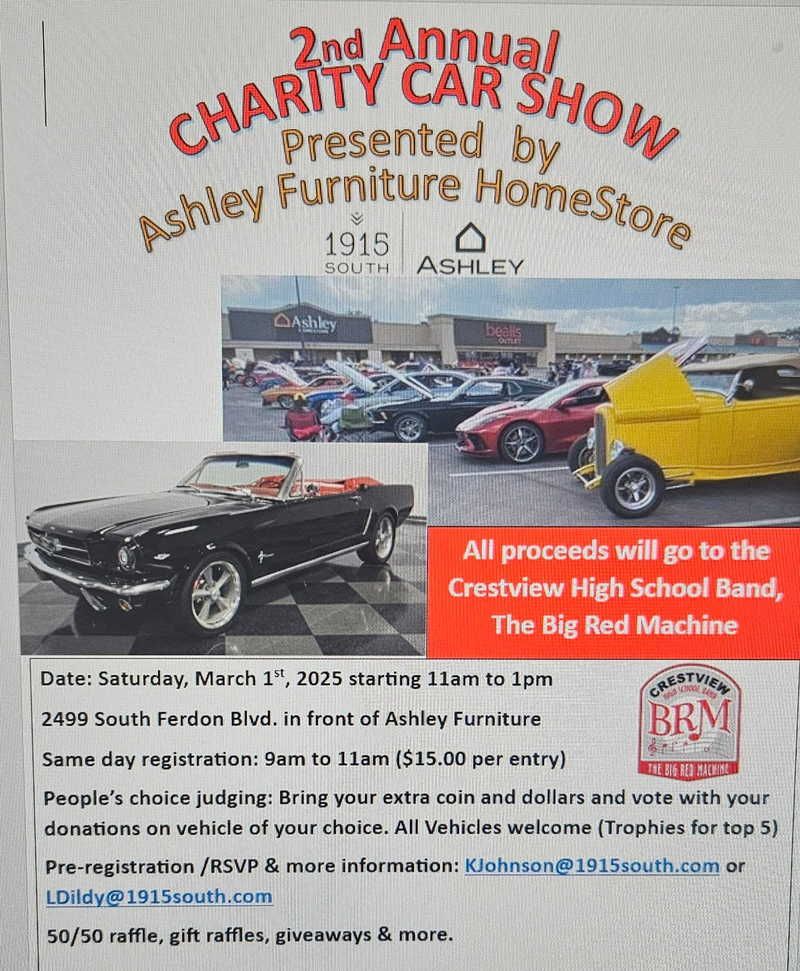 2nd Ashley Furnisher Charity Car Show