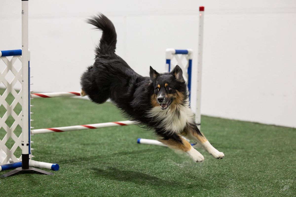 October 12-13 Teamwork Agility Trial