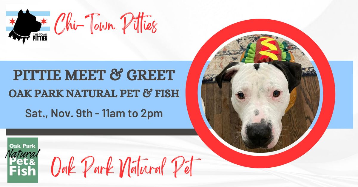 Pittie Meet & Greet