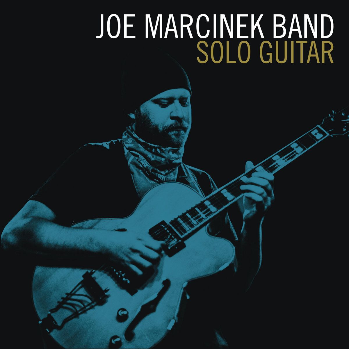 Joe Marcinek Band